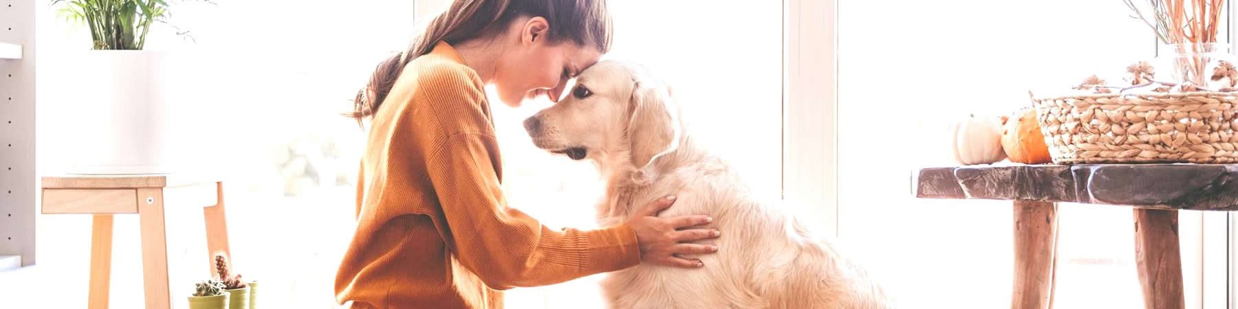 Find exciting information about and from 1st Choice Real Estate in Milbank, South Dakota.