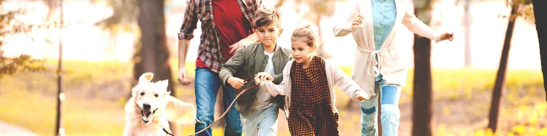 View properties available for purchase and listed by 1st Choice Real Estate of Milbank, South Dakota.