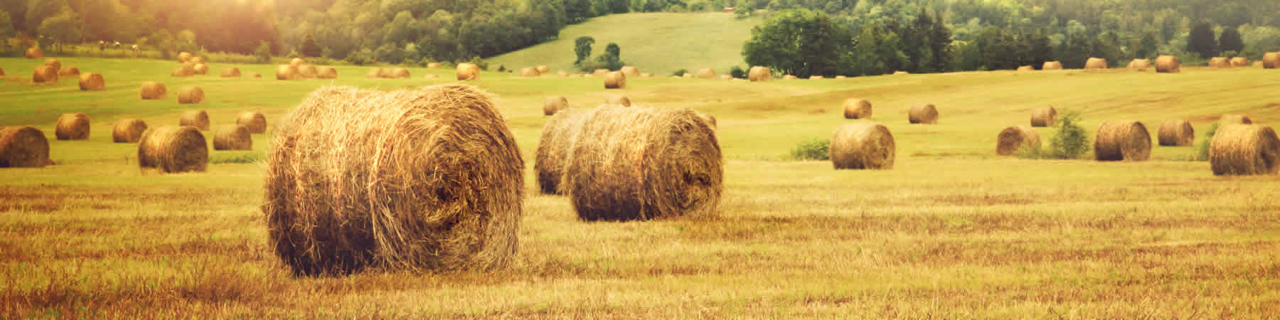 Get help buying or selling agricultural land in the Milbanks, South Dakota area.