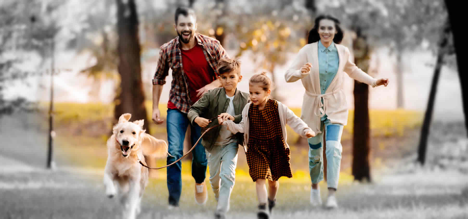 Home Page Header Image two